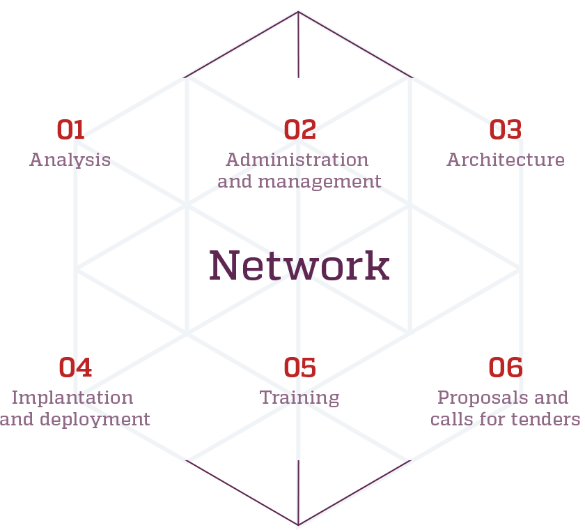 Network expertise schema of Kinessor